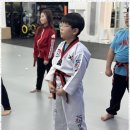 건강한 태권도장 이미지