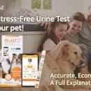 (주)에버셀 이미지