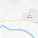 은행나무길카센터 이미지