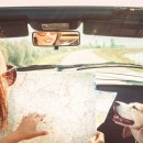 로얄도그앤캣메디컬센터 이미지