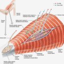 움직임 PT Studio 이미지