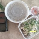 가온갈비탕&카페브릿지 네이버블로그