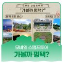 대추리길 | 평택 모바일 스탬프투어 &#34;가볼까평택?&#34; 소개합니다!