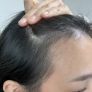 빈헤어스케치