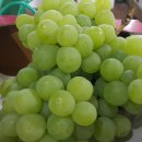 봉기농장 이미지