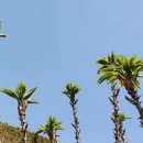 박화선농장 이미지