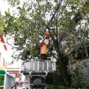 세진해체산업공사 이미지