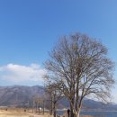 신라시대 국가제례인 가야진 용신제를 지내는 장소, 가야진사(경남도 민속자료 제7호)- 경남 양산시...