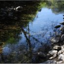 계곡수채화 이미지