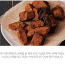 푸르베가 이미지