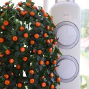 파르데스 | 자연 속에서 힐링! 공주 펜션 파르데스 다녀온 후기