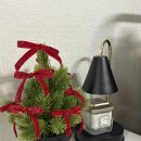 오늘 일기 | 오늘의 일기_ '이케아' 미니 트리 구매 후기