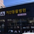 거산동물병원 이미지
