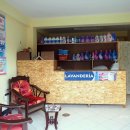 라벤데리아 이미지