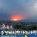 2020-주145 Daum카페