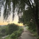 나무고아원 이미지