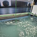 열림포차 | 부산 광안리 대방어 맛집 우리포차 솔직 후기 (웨이팅 필수)