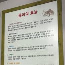 문어조개명가 이미지