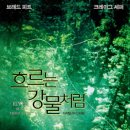 흐르는 강물처럼 - 안산시 상록구 | 흐르는 강물처럼