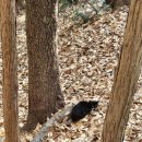 성지곡지 이미지