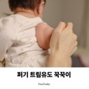 중앙유도 | 퍼기 트림 유도 꾹꾹이, 키즈마일 실사용 후기
