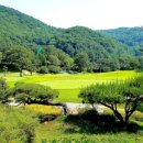 부산컨트리