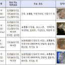 서울시, 석면 함유 조경석 안전관리 강화 이미지