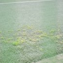 황성공원 축구공원 4구장 이미지