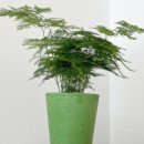 아트스톤 이미지