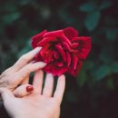 연세미사랑의원 네이버블로그