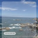 남부건어물 - 금천구 탑골로 7 | 속초 고성 양양 2박 3일 가족여행 ㅣ휴휴암 낙산사 PEI카페 추천경로