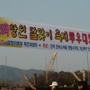 대산면공설운동장 이미지