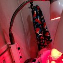 신망애한의원 이미지