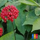 금계농장 이미지