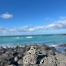 뚱보 고양이 | 2박3일 제주여행 DAY2 | 올댓커피, 뚱보아저씨, 제주현대미술관, 크리스마스마켓