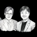 쎄시봉 헤럴드경제