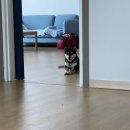 찰리팜하우스 이미지