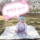 서울숲 수변휴게실 화장실 | 용인벚꽃 실시간 7개월 아기랑 벚꽃 호암미술관 할인꿀팁