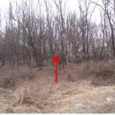 내곡동407 이미지