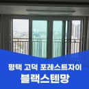 포레스트152 | 평택 고덕신도시 방충망 교체 포레스트자이 블랙스텐레스 미세촘촘망 시공 후기