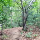 여강길(10-1코스 싸리산길) 이미지