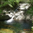 천진공업사 이미지