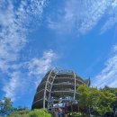 만천하스카이워크(정상) | [단양 여행] 만천하 스카이워크 후기 – 주차, 셔틀, 입장료, 전망대 뷰, 아이스크림 츄러스, 짚와이어...