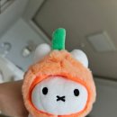 애월더선셋리조트 | 제주 숙소 : 애월더선셋 솔직후기