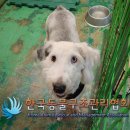 입석로 노트펫