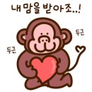 Y모터스(와이모터스) 이미지