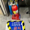 장일문구
