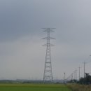 행정사태성사무소 이미지