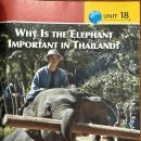 UNIT 18. Why Is the Elephant Important In Thailand? 이미지