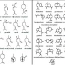 Re:Essential Oils’ Chemical Characterization and Investigation of Some Biological Activities: A Critical Review 이미지